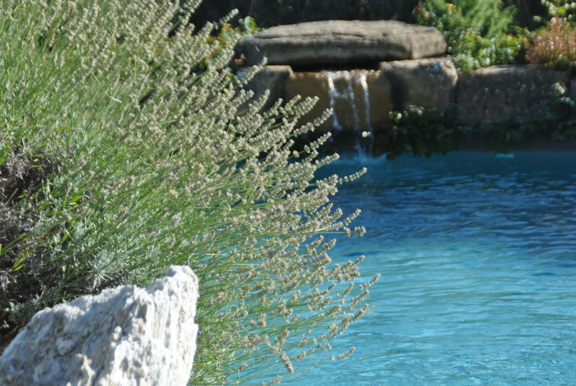 Agriturismo Campo Del Pillo Pietradura 외부 사진