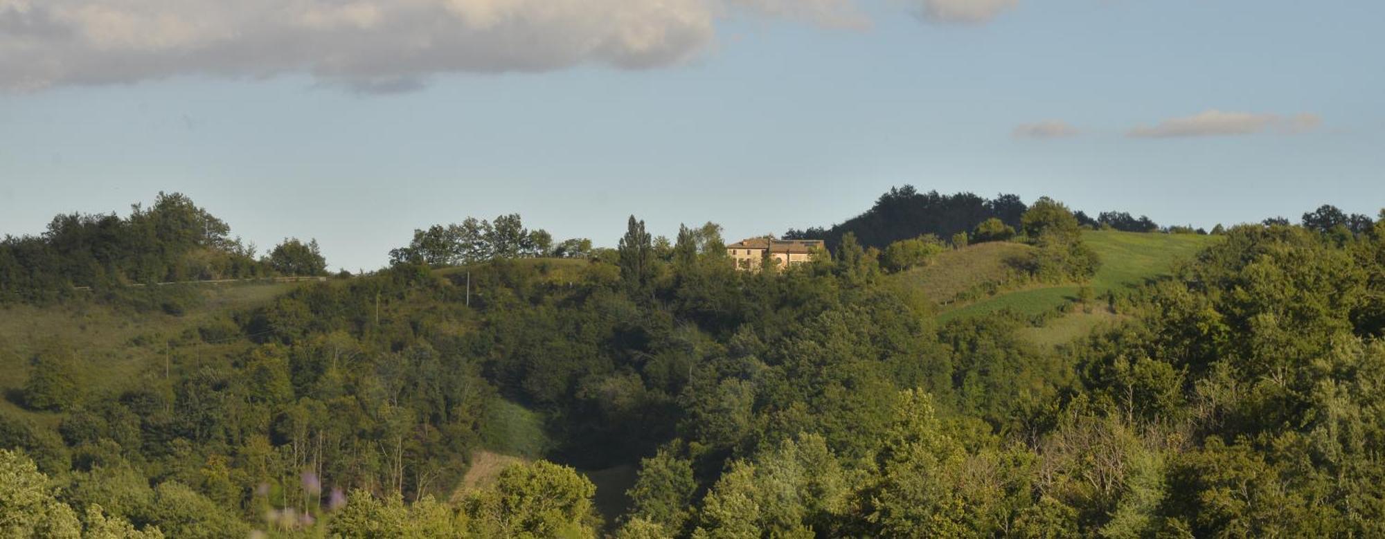 Agriturismo Campo Del Pillo Pietradura 외부 사진