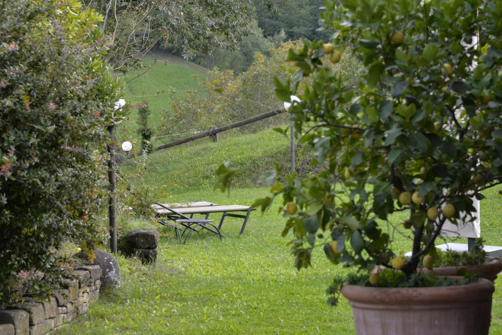 Agriturismo Campo Del Pillo Pietradura 외부 사진