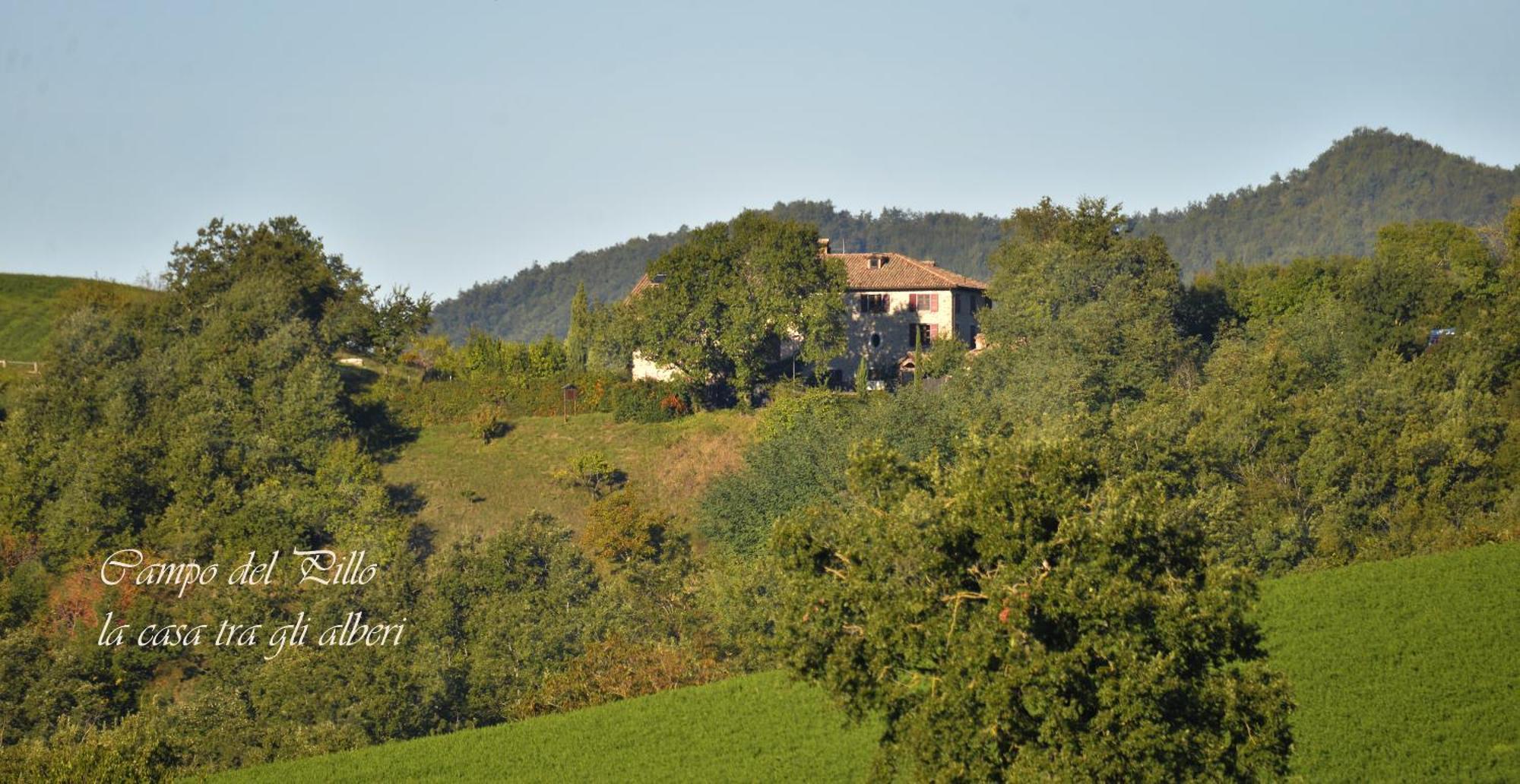 Agriturismo Campo Del Pillo Pietradura 외부 사진