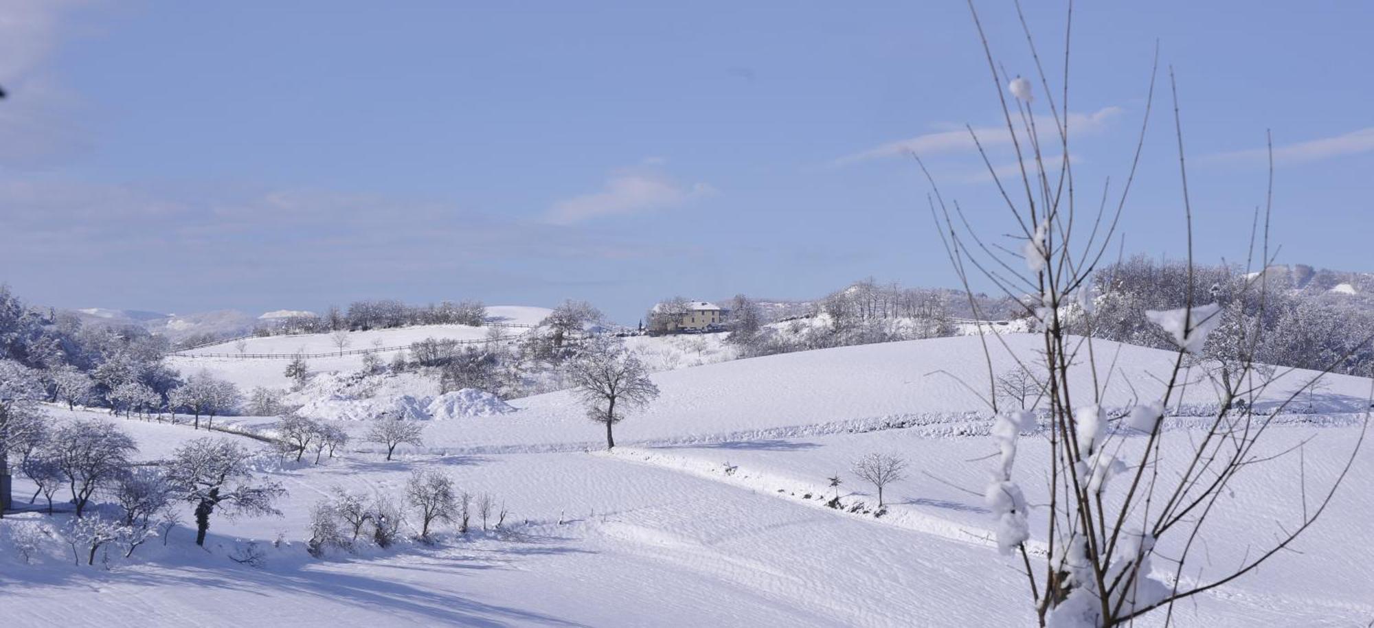 Agriturismo Campo Del Pillo Pietradura 외부 사진