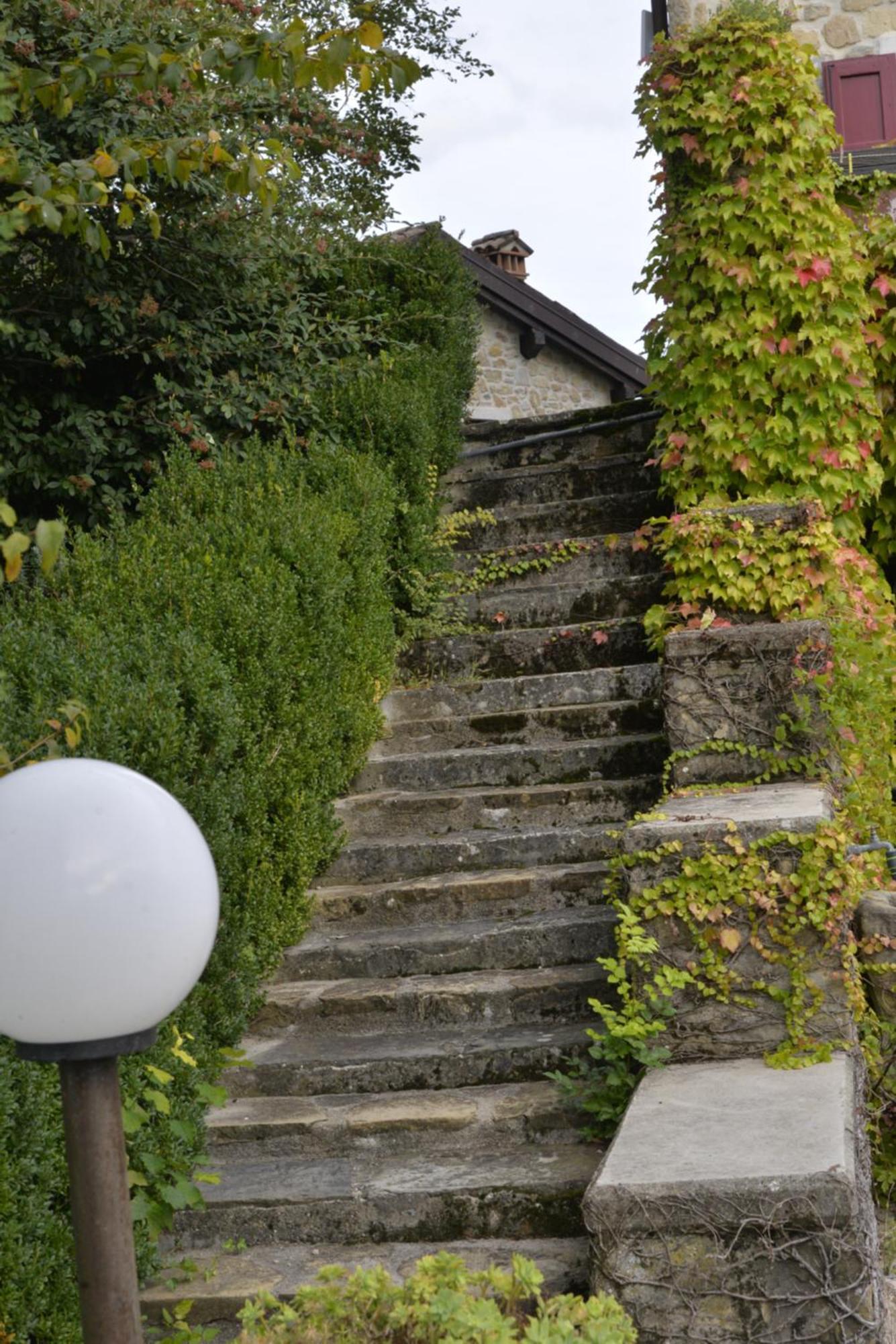 Agriturismo Campo Del Pillo Pietradura 외부 사진