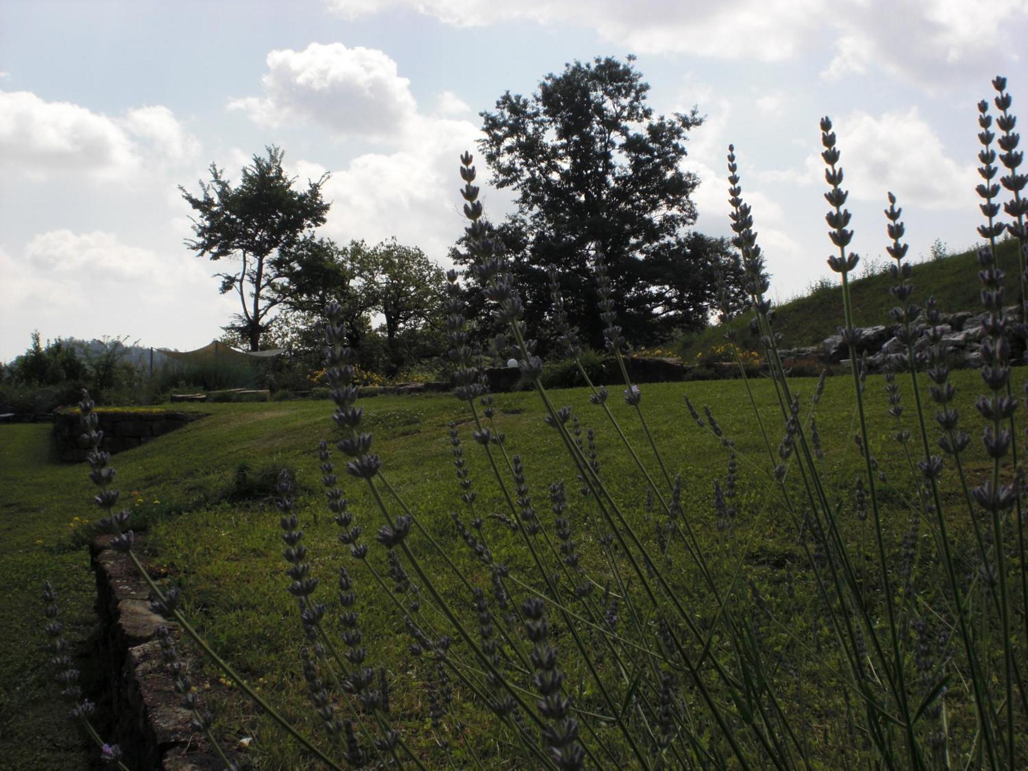 Agriturismo Campo Del Pillo Pietradura 외부 사진